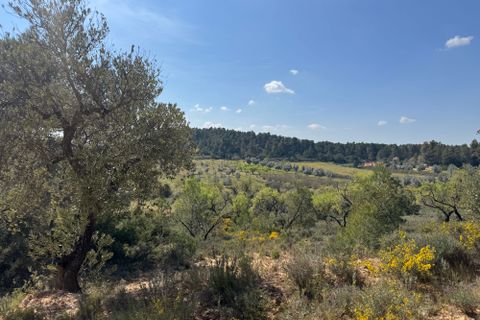 Helårsgrund i Cretas, Teruel, Cretas - € 60.000 | Ref: Iaco - foto 4